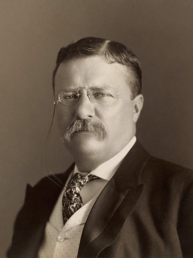 Theodore Roosevelt