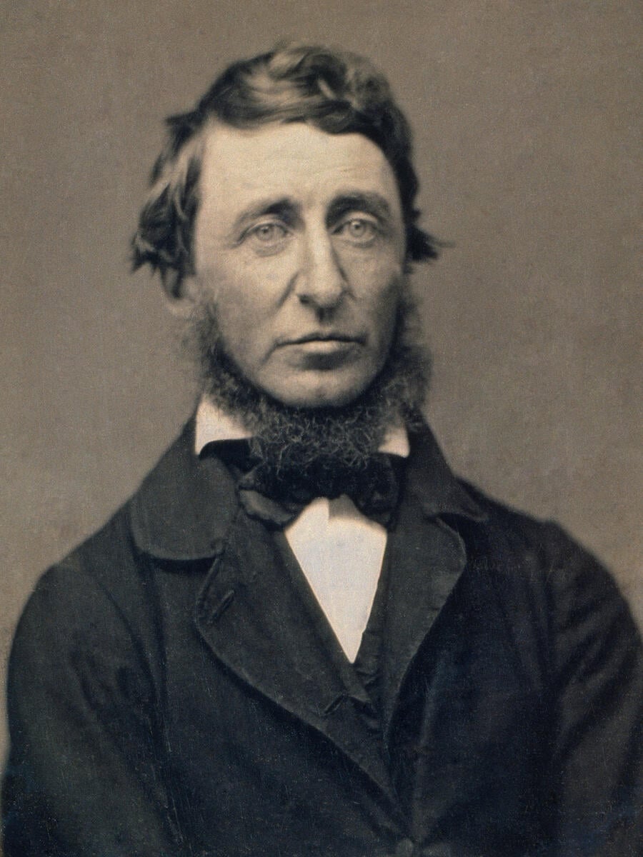 Henry David Thoreau - Inspirational Quote Author